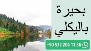 بحيرة باليكلي